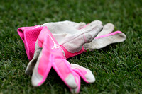 061623-010 batting gloves