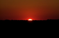 71401-09 sunset:rehoboth