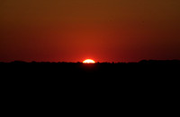 71401-08 sunset:rehoboth