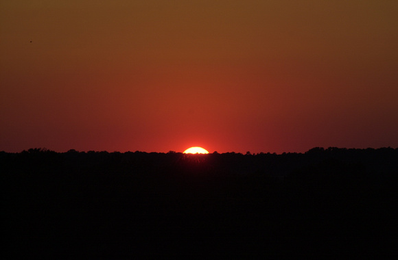 71401-05 sunset:rehoboth