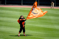 041325-004 orioles mascot