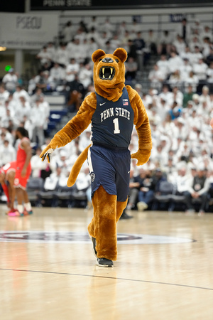 013025-016 penn state